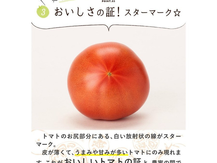 美味しさの秘密3/4