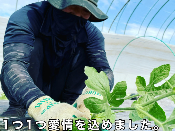 生産者のこだわり