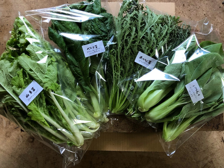 定番野菜と珍しい野菜
