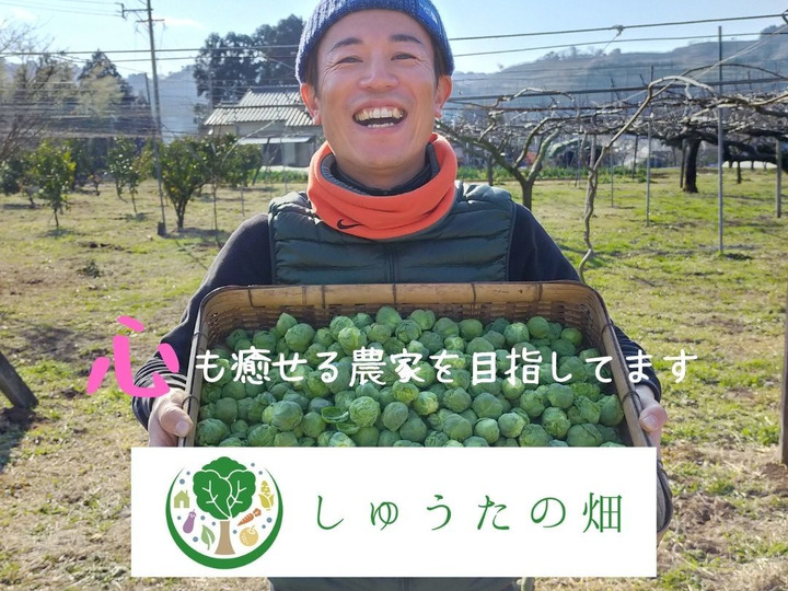 YouTubeを活用し背景から届ける作物
