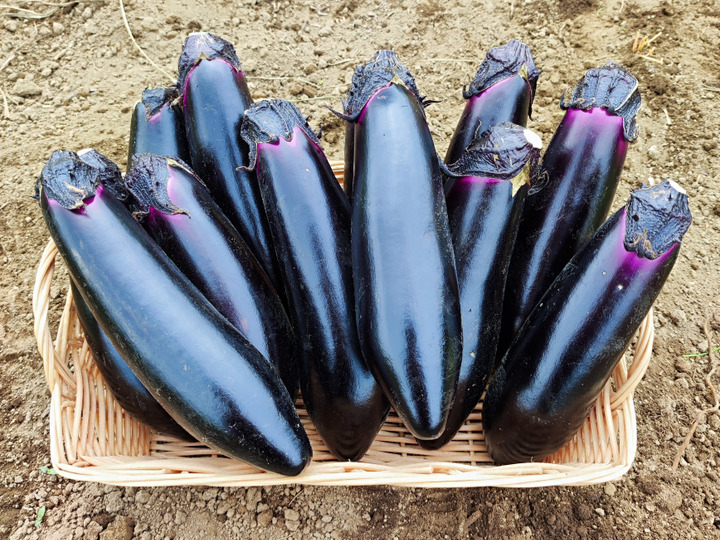 生産者のこだわり