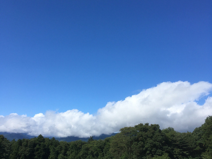 生産者のこだわり