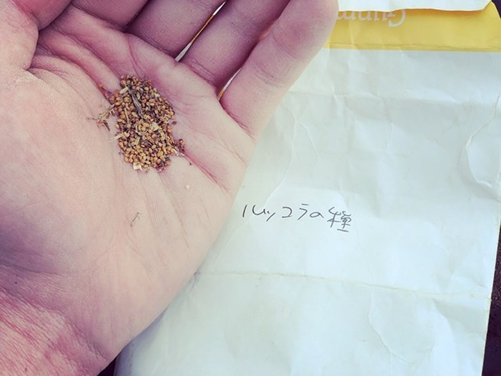生産者のこだわり