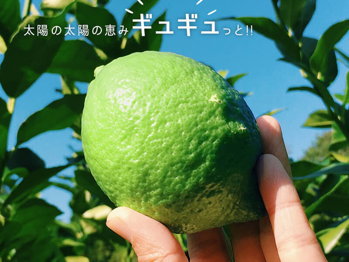生産者のこだわり