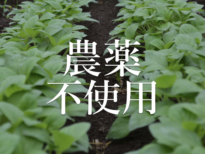 除草剤も不使用!