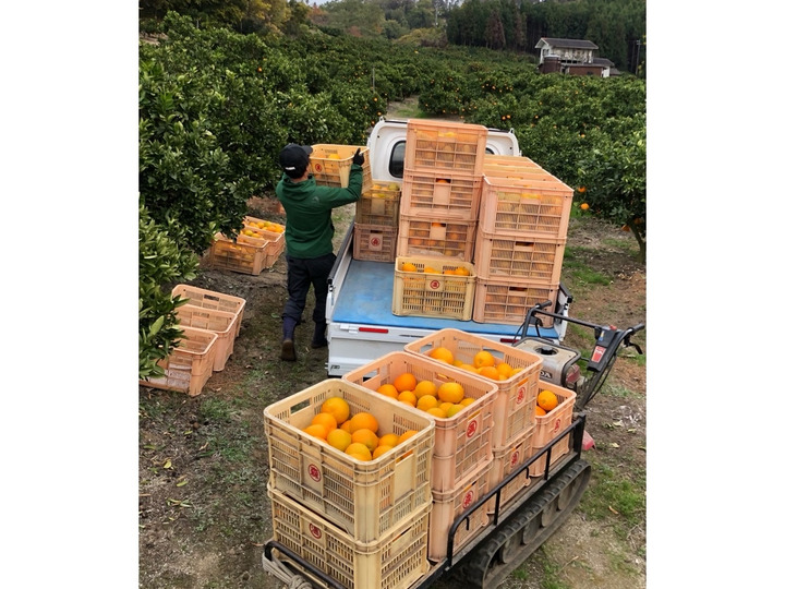 生産者のこだわり