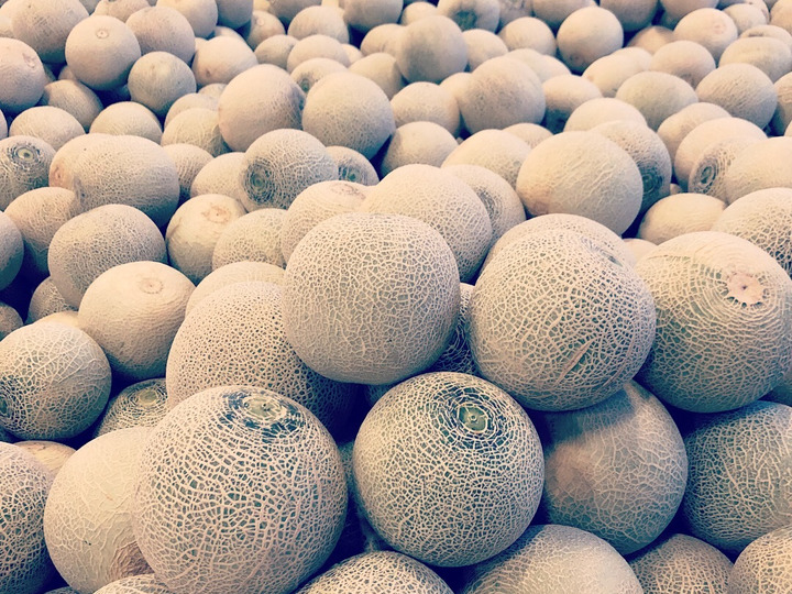 メロン