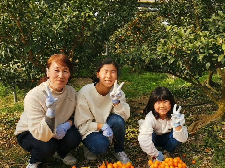 生産者のこだわり