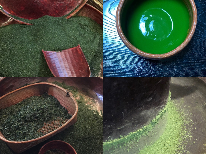 手摘み 宇治抹茶】 手摘 宇治茶 お濃茶用 抹茶 『いちふく』 ２０g缶入 培期間中農薬、除草剤、化学肥料不使用：京都府産の日本茶 ｜食べチョク｜産地直送(産直)お取り寄せ通販 - 農家・漁師から旬の食材を直送