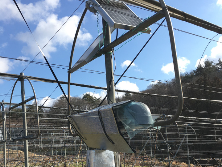 生産者のこだわり