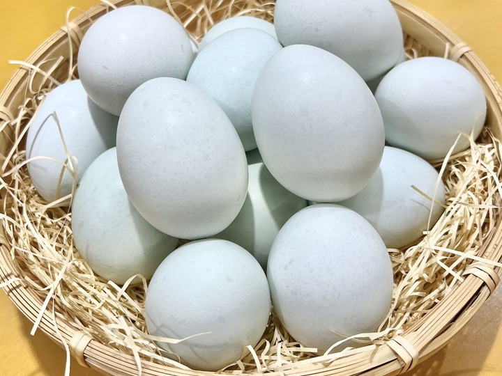 にんにく卵 30個入：青森県産のボリスブラウン｜食べチョク
