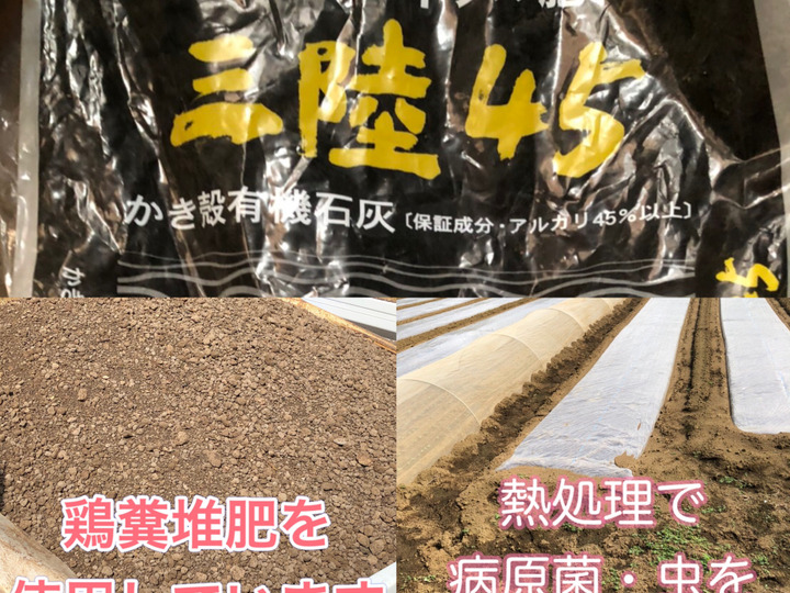 生産者のこだわり