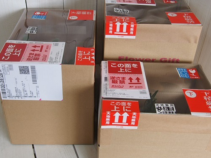 生産者のこだわり