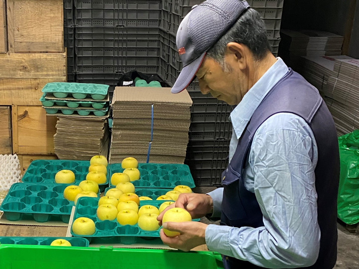 りんご一個一個を”指はじき”でチェック