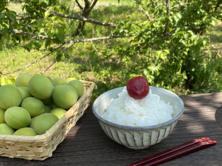 生産者のこだわり