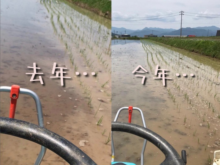 美味しくなれ〜〜〜思いを込めて…植える!!(曲がっても)