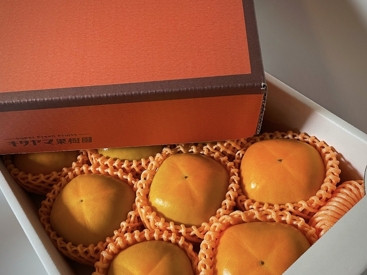 梅酒・梅シロップに最適！ 和歌山県産希少品種 古城梅（青梅） 2kg（L