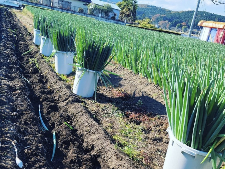 生産者のこだわり