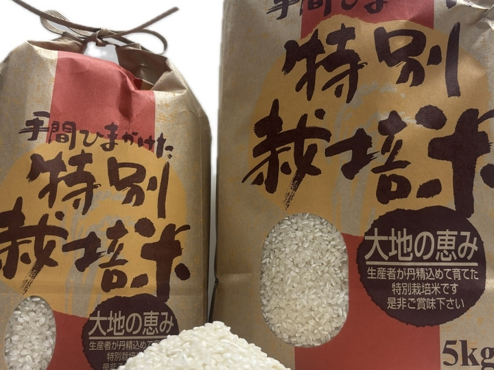 農薬は使用せず、淀川のおい水と長年かけて作った豊かな土壌から育った