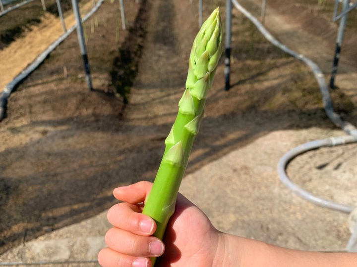 美味しさへのこだわり