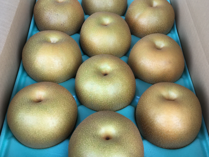栃木県産 にっこり梨 2玉入り 2.4kg：栃木県産のにっこり｜食べチョク