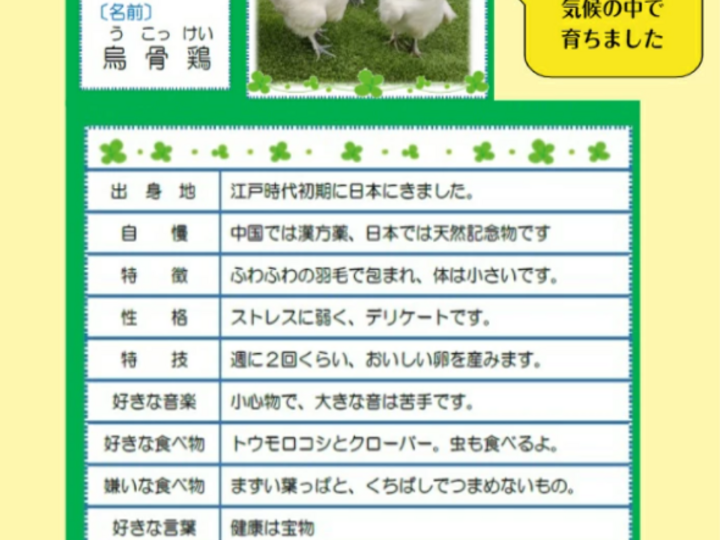 生産者のこだわり