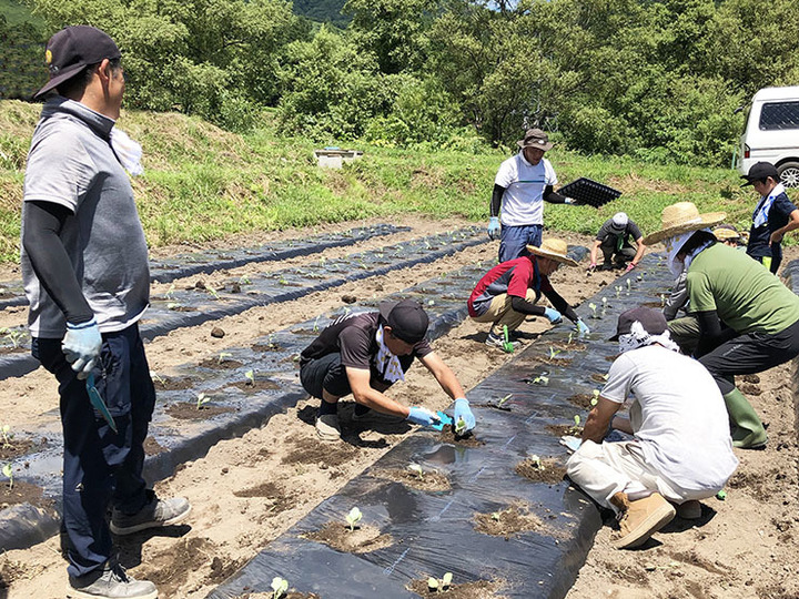 楽しく笑顔で農作業に取り組んでいます