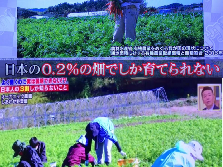 有機JAS認証の本物のオーガニック野菜です。