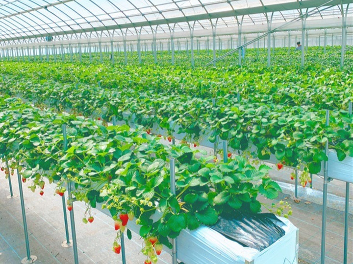 生産者のこだわり
