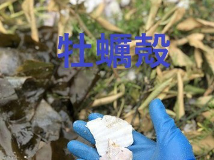 土作り、肥料のこだわり