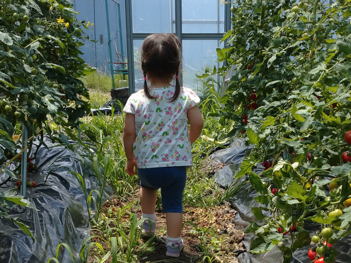 子ども達が安心して食べれる野菜