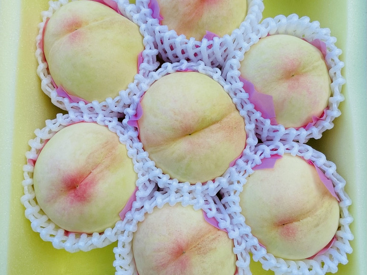 家庭用】白鳳🍑小箱【4～7玉】：岡山県産の白桃｜食べチョク｜産地