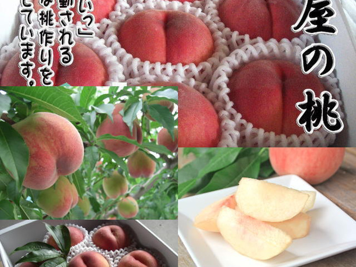 生産者のこだわり
