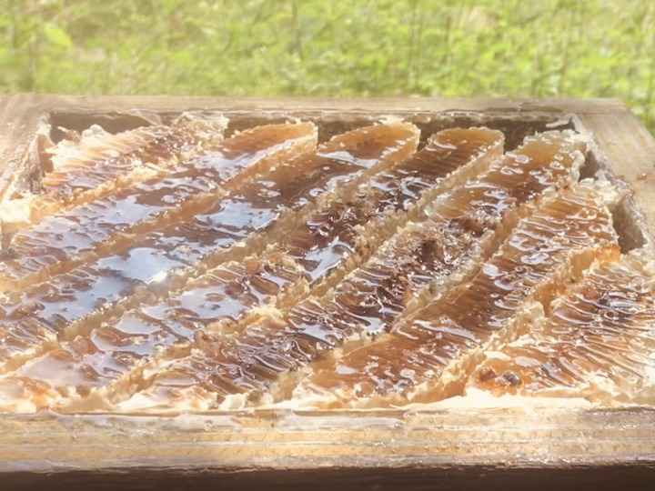 希少な日本蜜蜂の純粋たれ蜜
