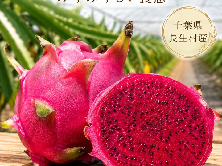 株式会社cantusへのレビュー・商品：千葉県｜食べチョク｜産地