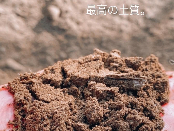 生産者のこだわり