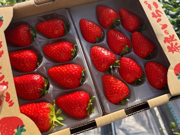 生産者のこだわり
