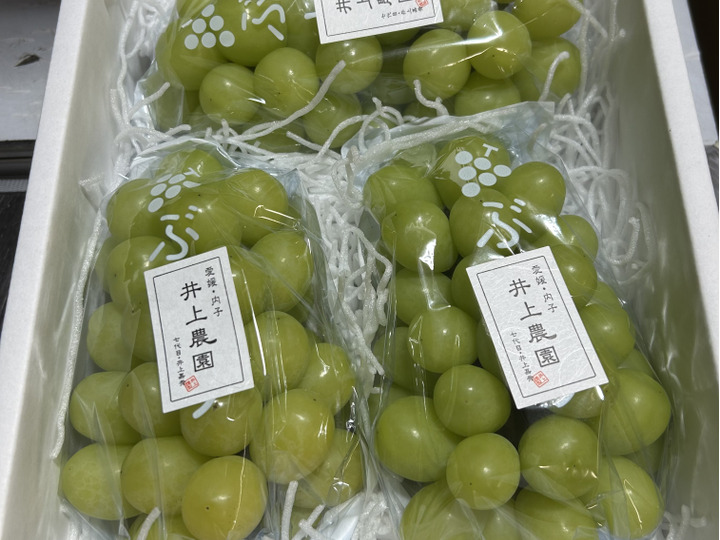 新しく着き 完熟】家庭用『シャインマスカット』3kg（3~6房）：愛媛県産の フルーツ