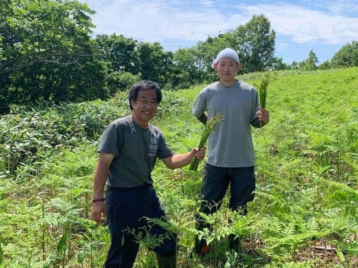 我が裏山で栽培してる天然ワラビ 1kg 北海道産 食べチョク 農家 漁師の産直ネット通販 旬の食材を生産者直送 我が裏山で栽培してる天然ワラビ 1kg 北海道産 食べチョク 農家 漁師の産直ネット通販 旬の食材を生産者直送
