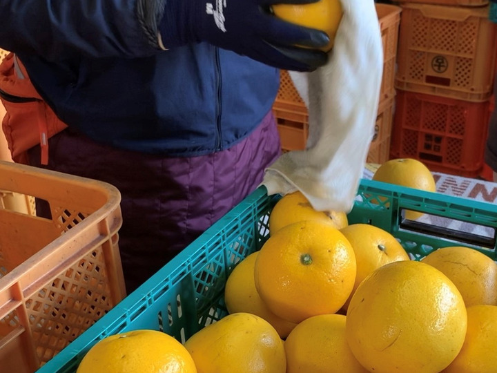生産者のこだわり