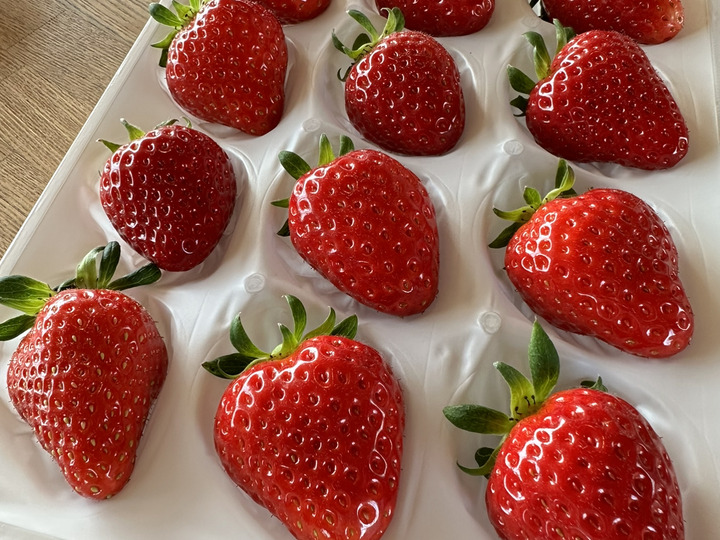 黒いちご『真紅の美鈴』12から15粒 350から400g✖️1ケース 糖度