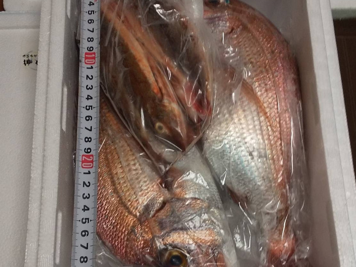 生産者のこだわり