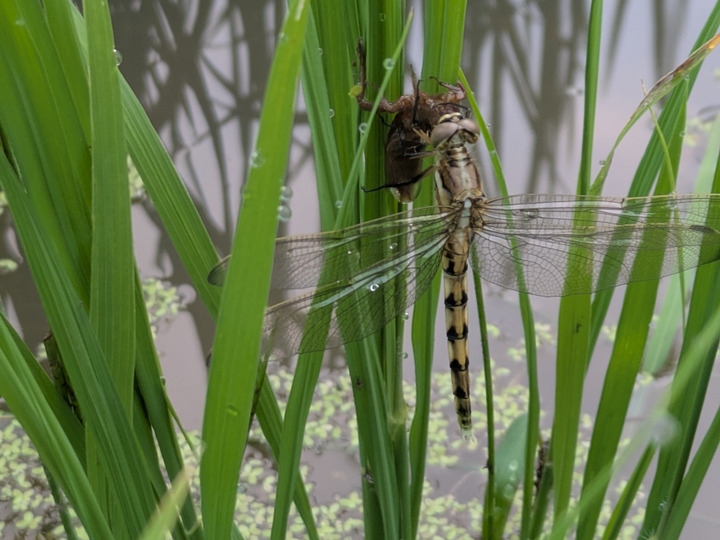 すべては循環の中に