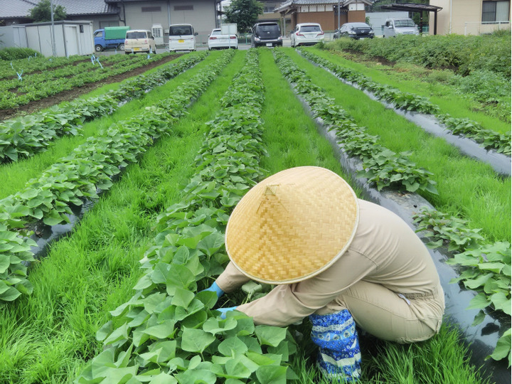 就農のきっかけ