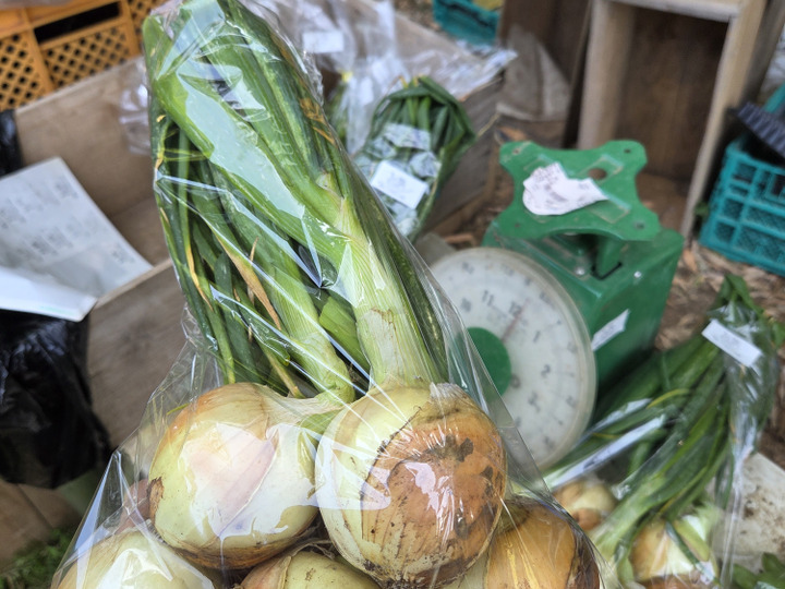 生でおいしいエシャレット(1kg)栽培期間中農薬・化学肥料不使用：千葉