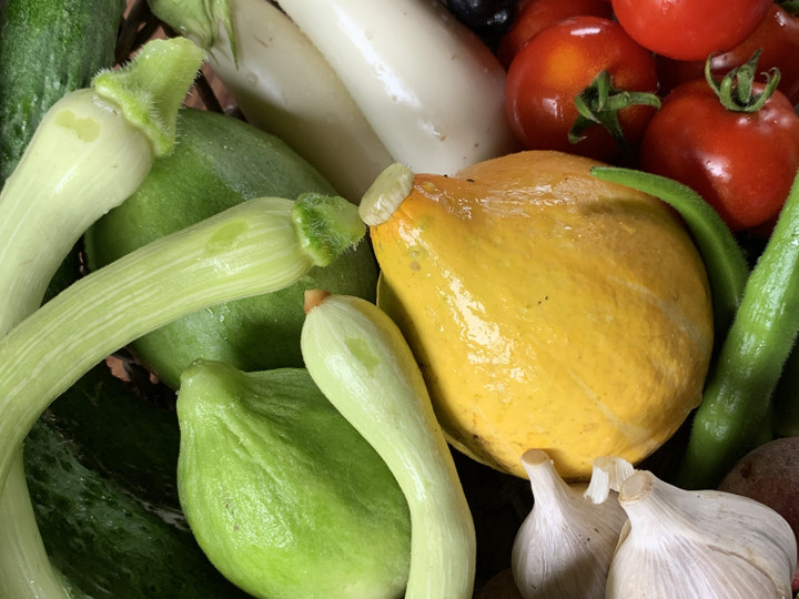 色んな旬の野菜