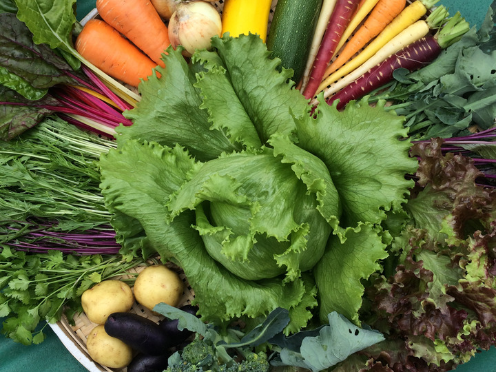 栽培期間中農薬、化学肥料、除草剤は一切使ってません。