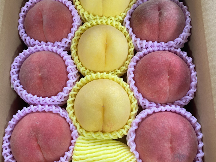 生産者のこだわり