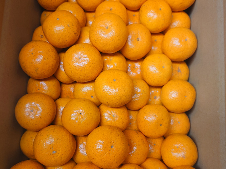生産者のこだわり