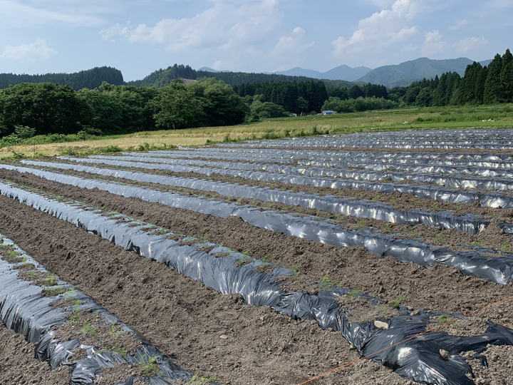 生産者のこだわり